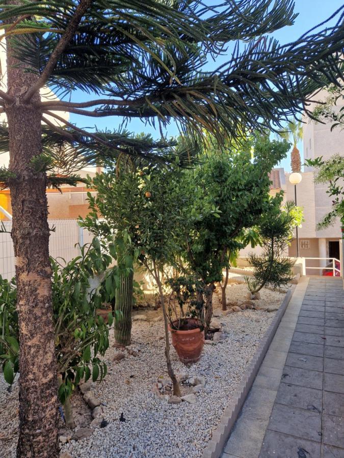 Magnifico Chalet Adosado En Torrevieja, Alicante. Exterior foto